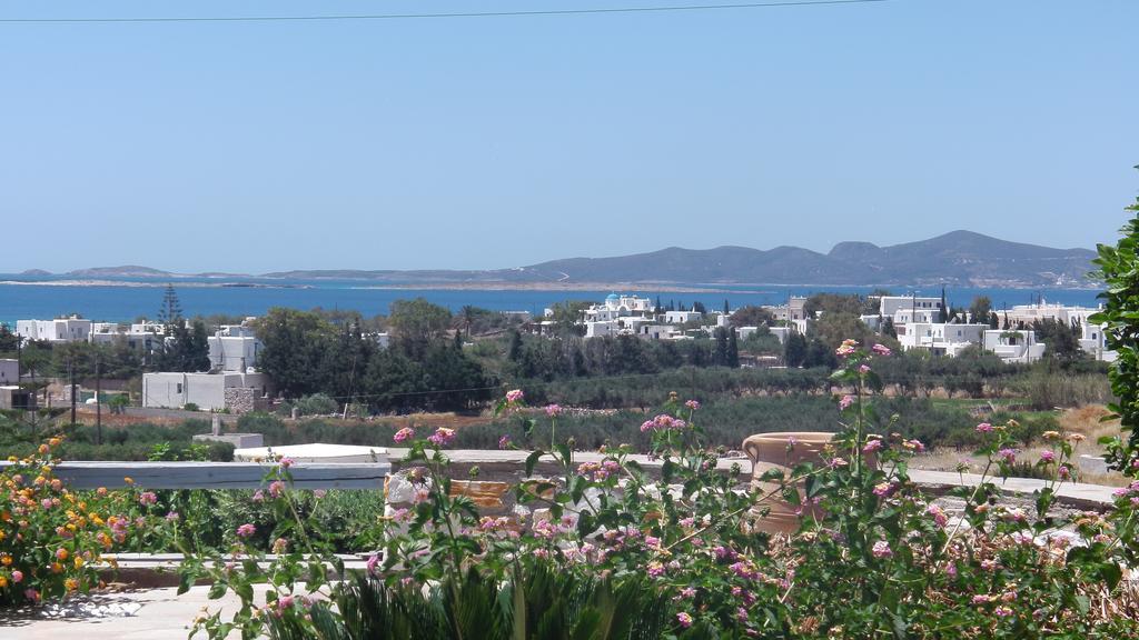 Narkissos Studios Alikí Rum bild